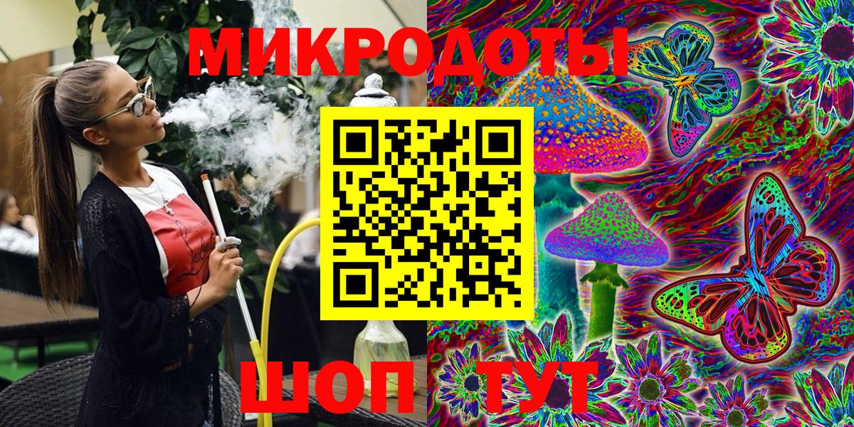 Галлюциногенные грибы Psilocybe Зеленогорск